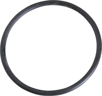 SIT O-Ring für Flansche passend zu Nova 82X Ref. 0.925.054