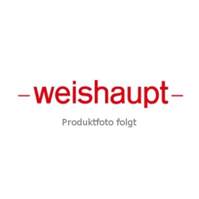 Weishaupt Flansch - 11000126017