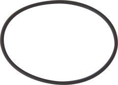 Zuwa O-Ring für Förderpumpe Unistar 2000-B (3107964)