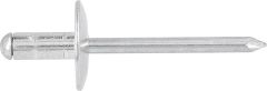 GESIPA PolyGrip Blindniete Alu/Stahl Grosskopf 4,8x10 K 16 VPE 250 Stück